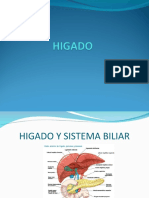 J Higado y Vias Biliares 2023