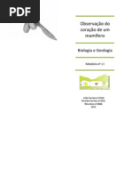 Observação do coração de um mamífero