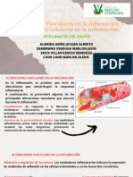 Exposicion de Anatomia Patologica