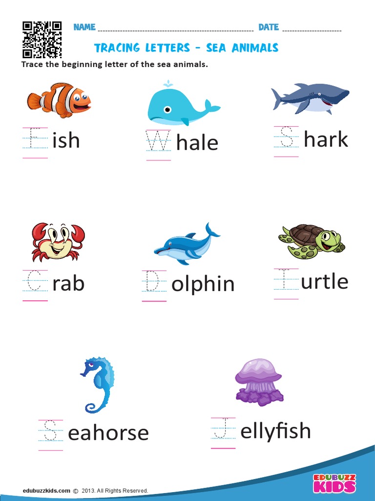 Sea Animals | PDF
