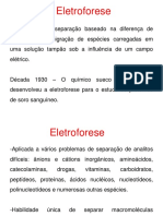  Eletroforese