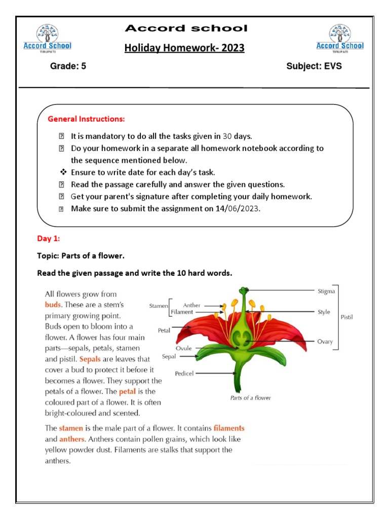 Class 5 EVS Holiday Homework 2023 | PDF