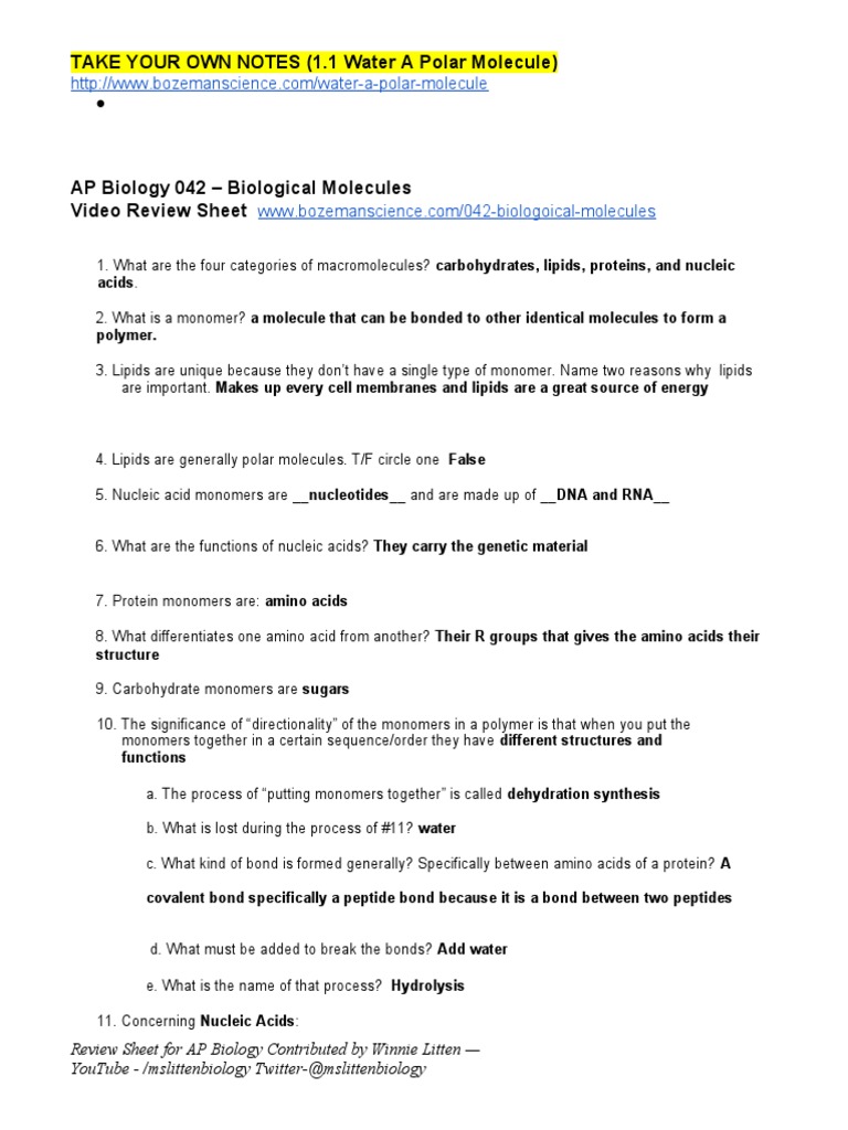 Unit 1 Bozeman Worksheets PDF Dna Rna