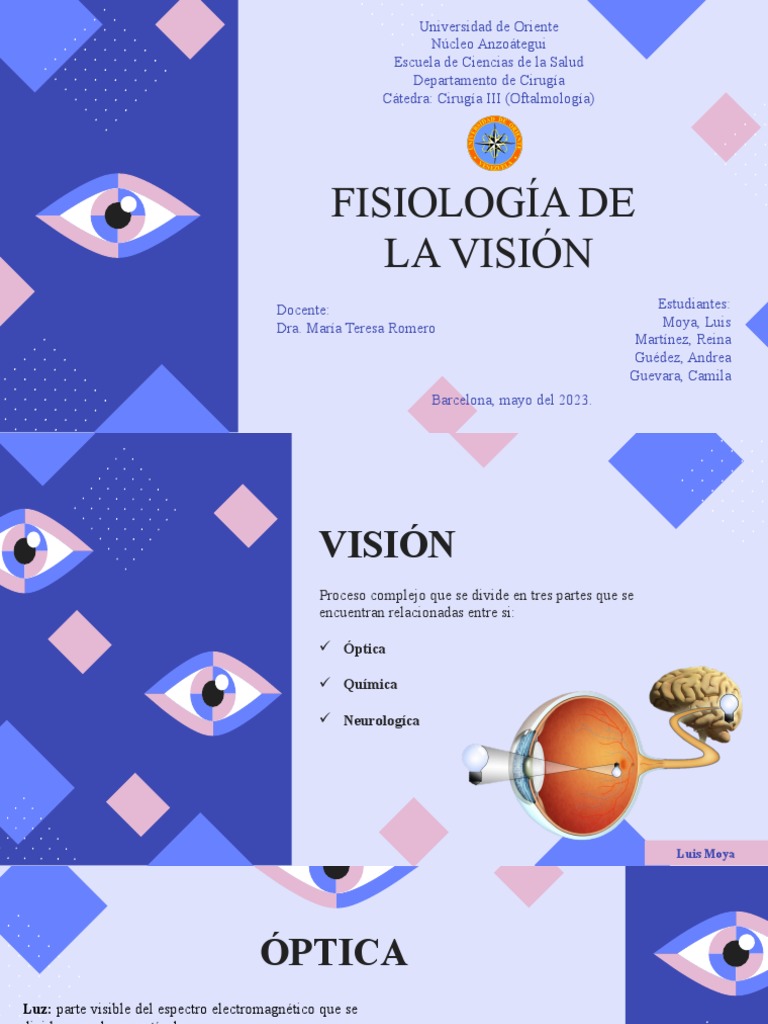 Fisiología De La Visión Descargar Gratis Pdf Percepción Visual