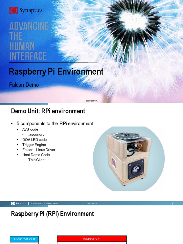 RPi Environment: AVS and DOA LED Setup | PDF