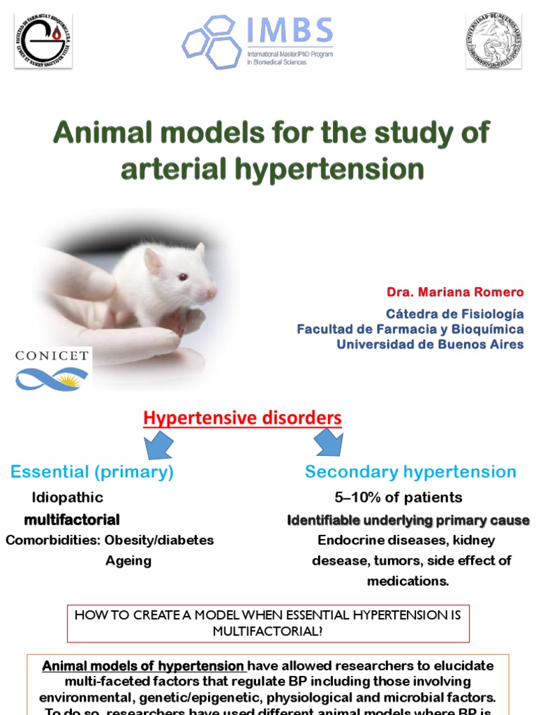 2 Animal Models of Hypertension 2023 PDF Hypertension