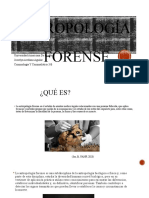 Antropología Forense