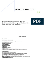 22 Proiect Didactic DP
