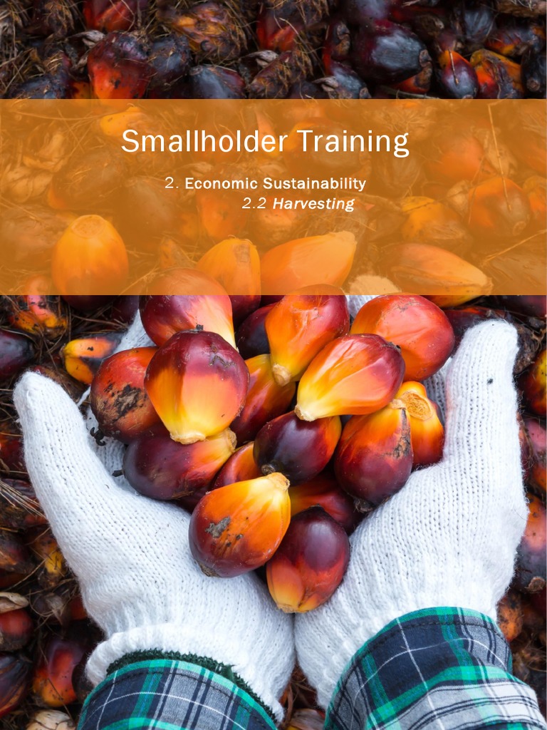 2.2 Harvesting | PDF | Smallholding | Agriculture