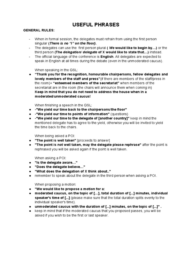 MUN Delegate Speech Guidelines | PDF