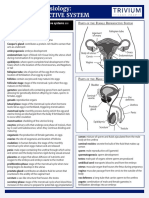 Reproductive System