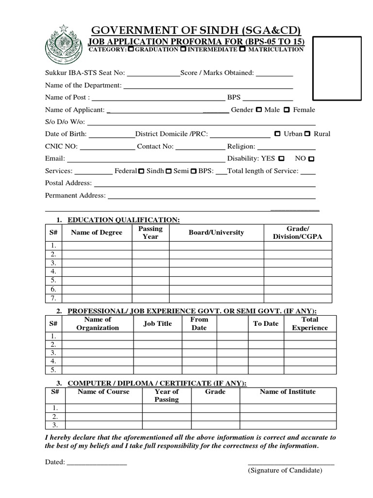 Sindh Government Job Application Form | PDF