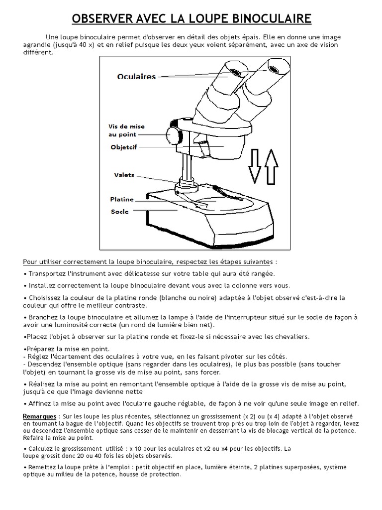fiche loupe binoculaire PDF