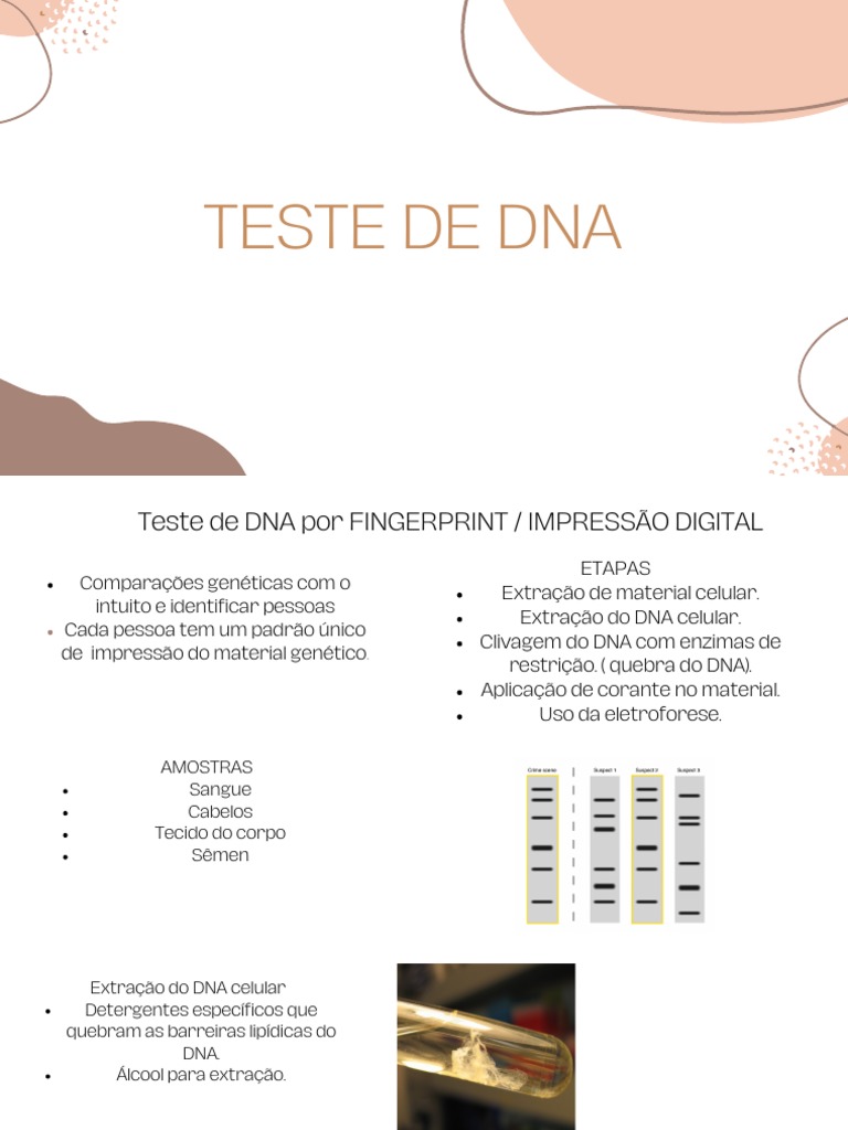Teste de DNA: Processo e Etapas | PDF