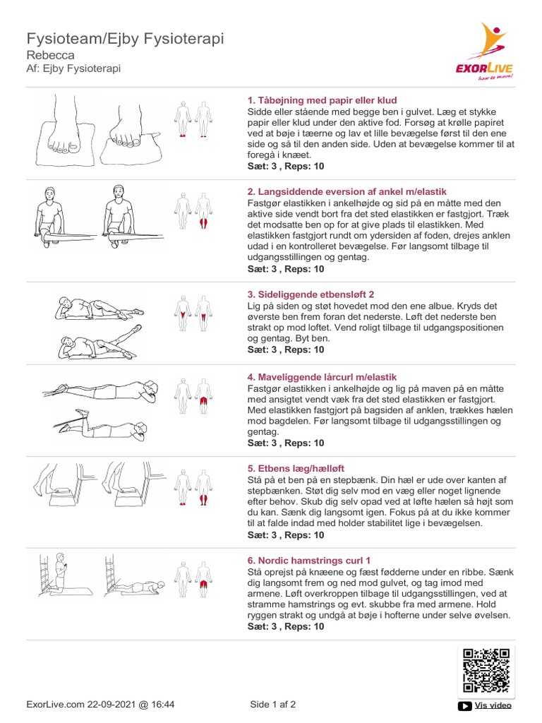 ExorLive Workout | PDF