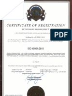 Astor Iso 45001 (3) 2018 en (Id 341144)