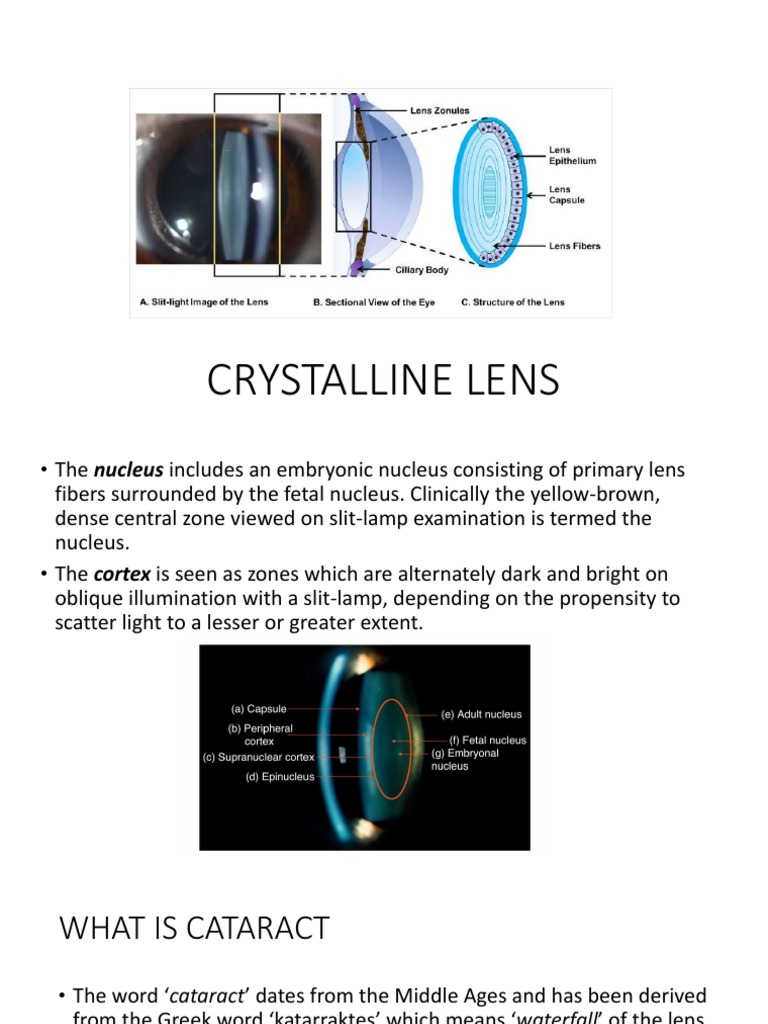 Crystalline Lens | PDF