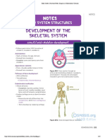 Body System Structures Notes - Diagrams & Illustrations - Osmosis