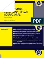 Modulo V Auditoria Fiscalización e Inspección de Seguridad RPCH