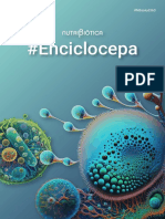 Infografia Enciclocepa-2023 Compressed