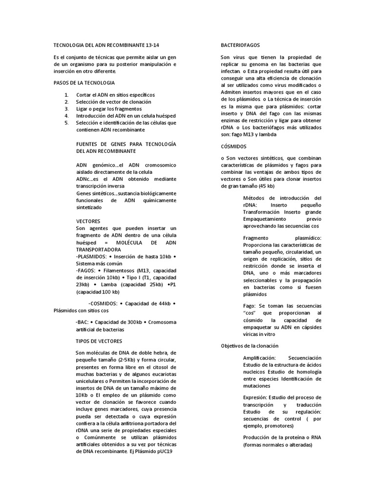 Adn PDF Plásmido Adn