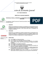 Directiva - N 002 - 2020 Conadis SG