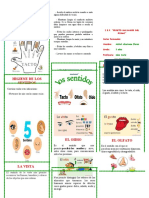 Triptico Los Sentidos