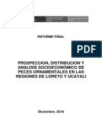 Prospección, Distribución y Anaisis Socieconómico Peces Ornamentales Loreto y Ucayali