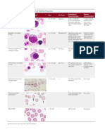 Erythroid Precursors