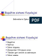 8.boşaltım Sistemi