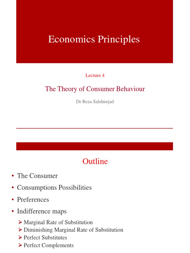 Lecture Slides 4 Theory Of Consumer Behaviour PDF