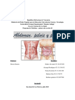 Anatomia Abdomen, Pelvis y Perine