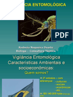 Biologia e Ecologia de Vetores Dengue