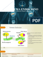 Sistema Endocrino