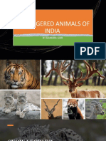Endangered Animals of India H&G Proyect