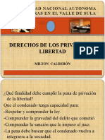 5-Derechos de Los Privados de Libertad-1