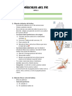 Oct 6 Miología Del Pie Parte 2 y 3