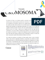 Trisonomía Del Cromosoma 21
