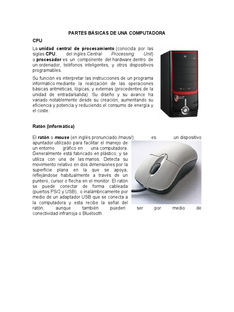 Partes Básicas de Una Computadora | PDF | Hardware de la computadora ...