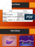 Aula 5 Proteina