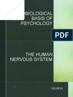 Iia. Neurobiological Basis