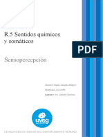 R.5 Sentidos Quimicos y Somaticos