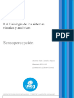 R.4 Fisiología de Los Sistemas Visuales y Auditivos