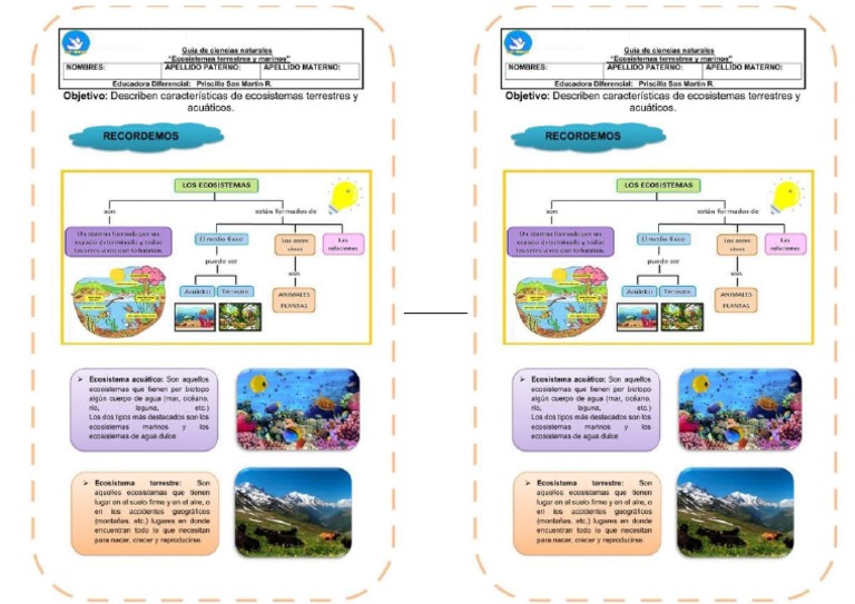 25 2 440 Pdf