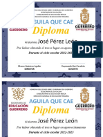 Diploma Final