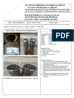 Laporan Praktikum Padi Helmi Aprizal (Autosaved) - Dikonversi