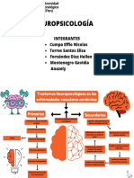 Transtornos Vasculares