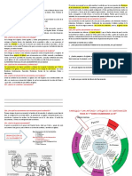 1°ficha Cate 2°año