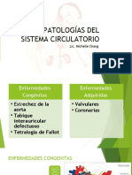 Patologías Del Sistema Circulatorio