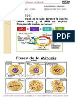 5cir y Selecc n.4